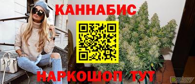 шишки Бузулук