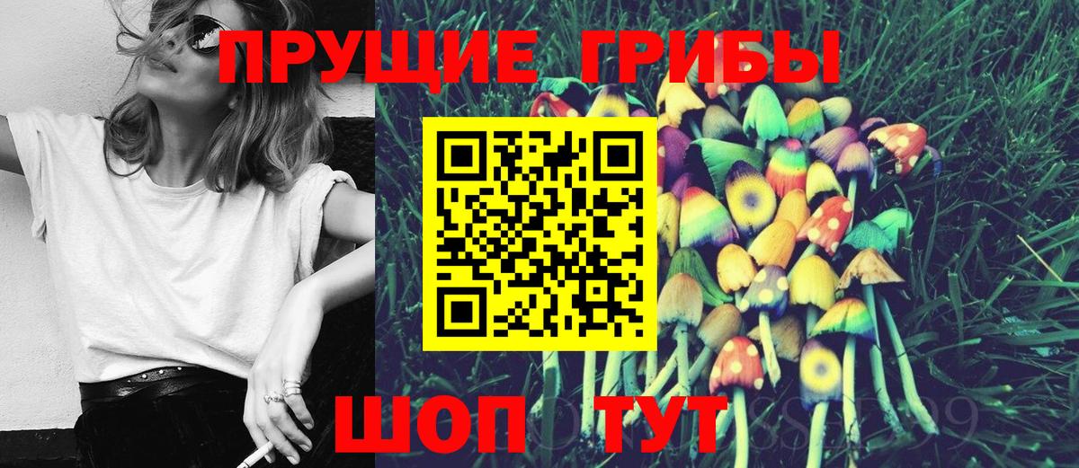 Галлюциногенные грибы MAGIC MUSHROOMS  Вход с VPN  Коломна 