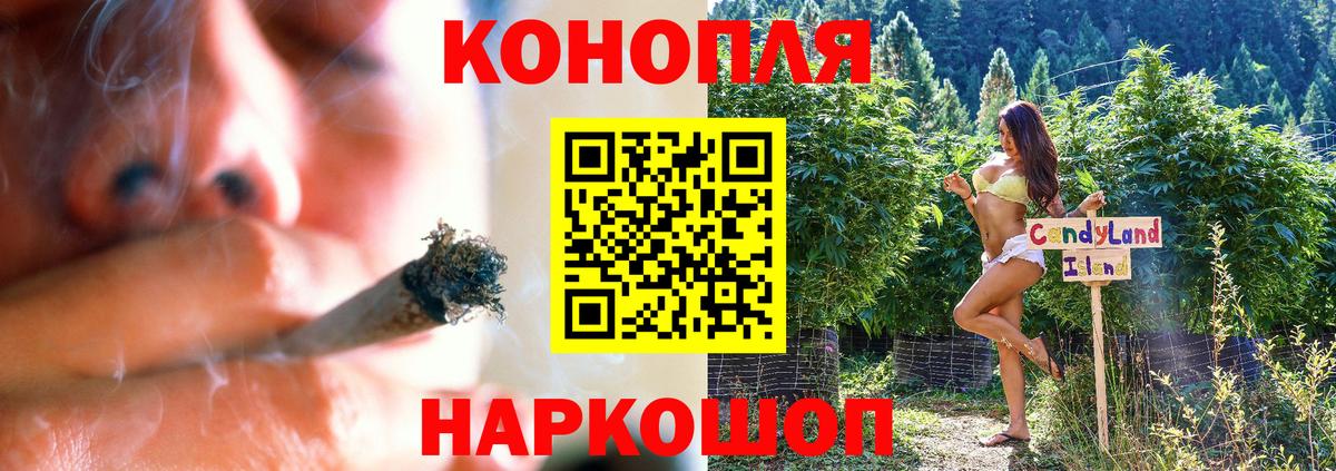 Бошки Шишки ГИДРОПОН Коломна